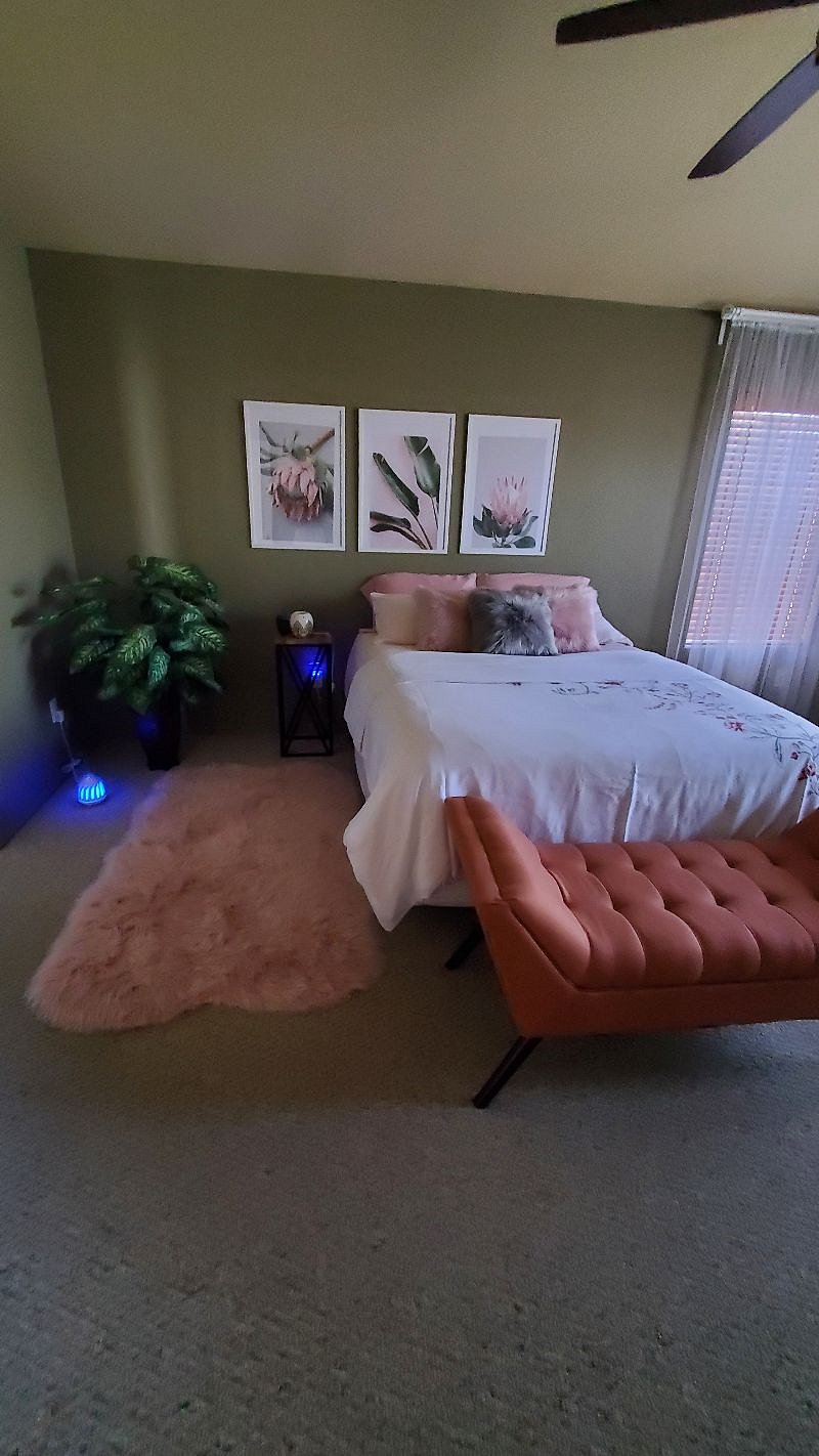 Furnished Finder property 446951_1 photo 52