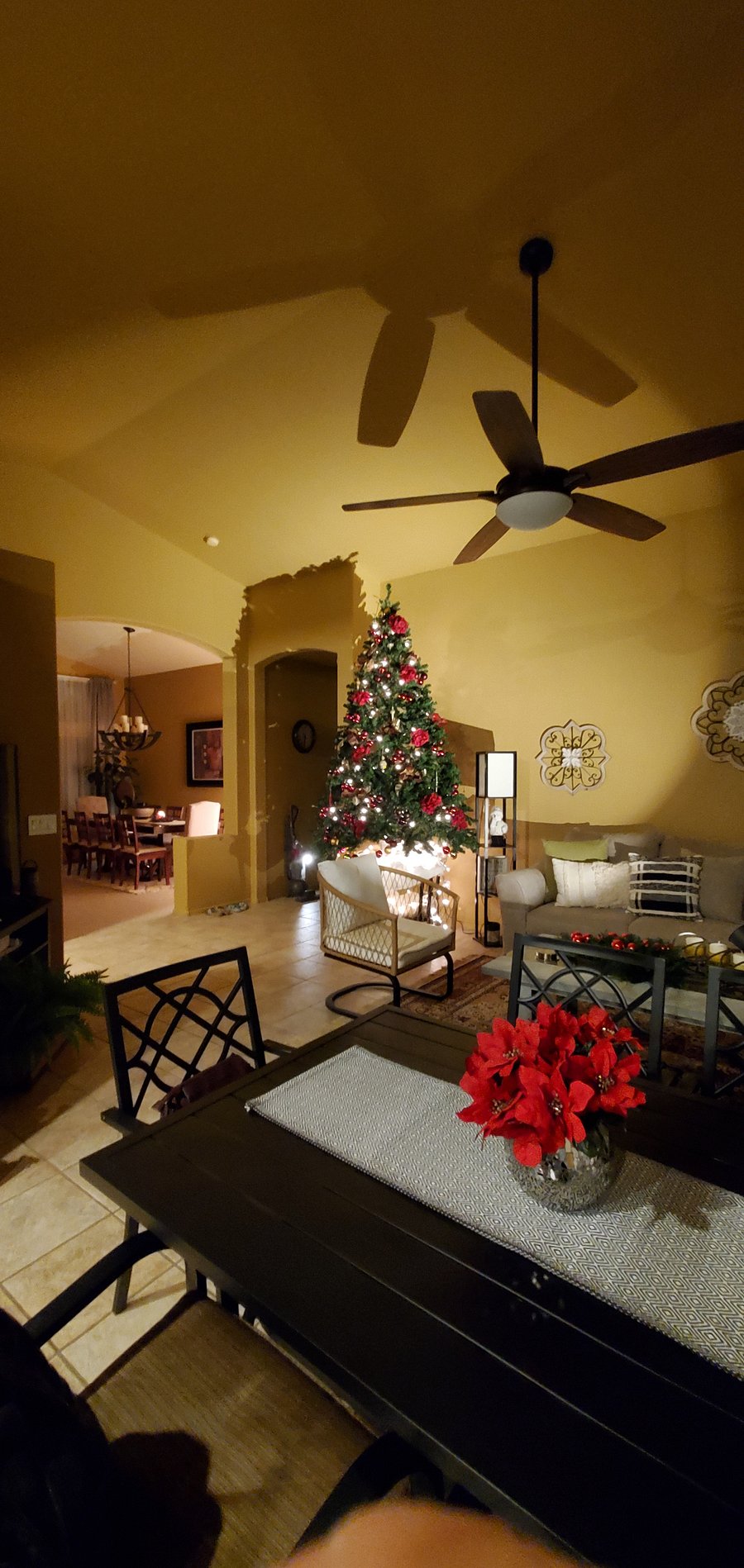 Furnished Finder property 446951_1 photo 59