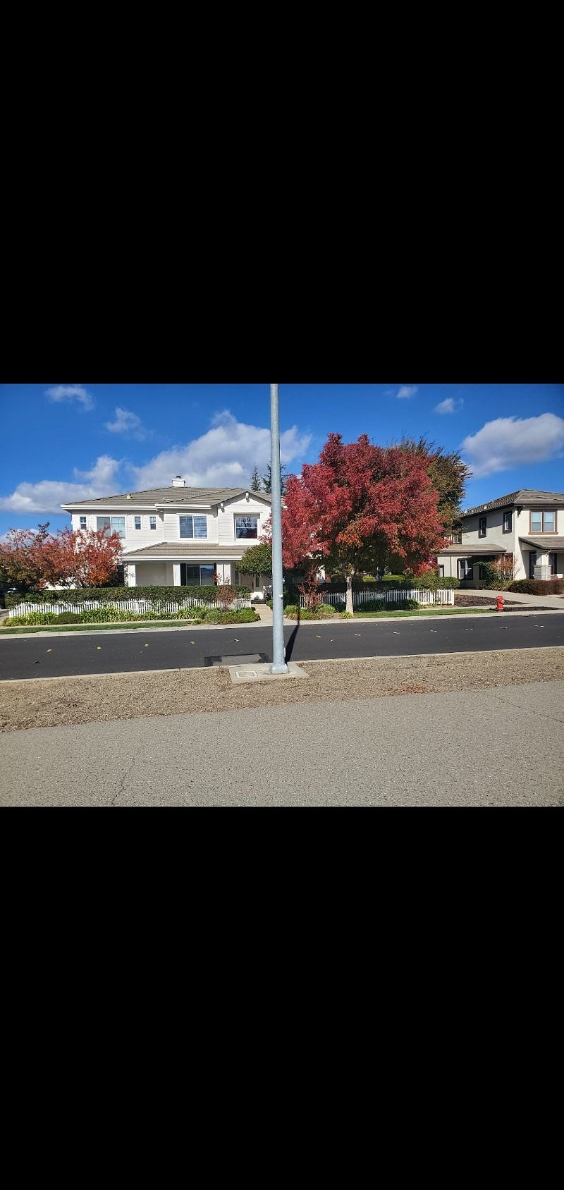 Furnished Finder property 446969_1 photo 6