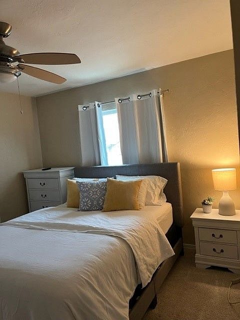Furnished Finder property 446980_1 photo 20