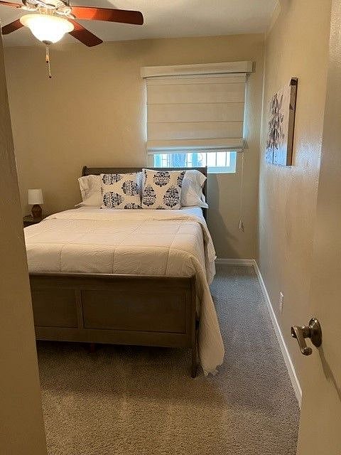 Furnished Finder property 446980_1 photo 24
