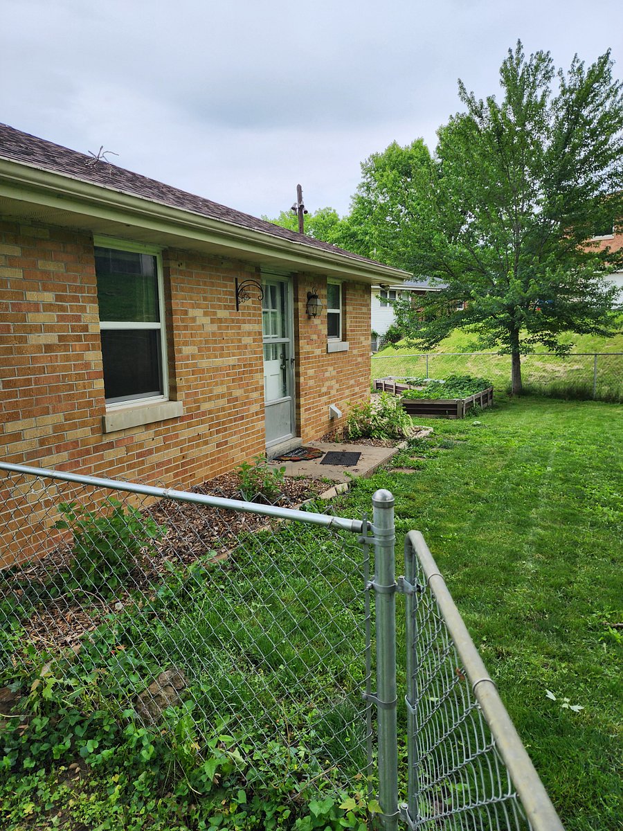 View of side yard and backdoor