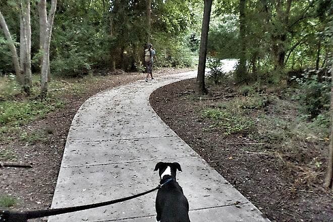 Friars Creek Trail, 5 minute drive, 4 1/2 mile trail along Friar Creek. Park at Silverstone Park
