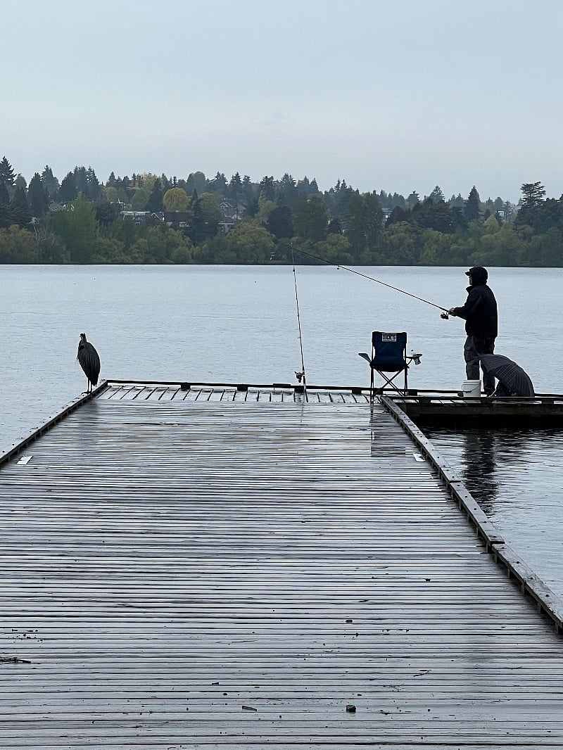 Best fishing dock in Greenlake right across the street!