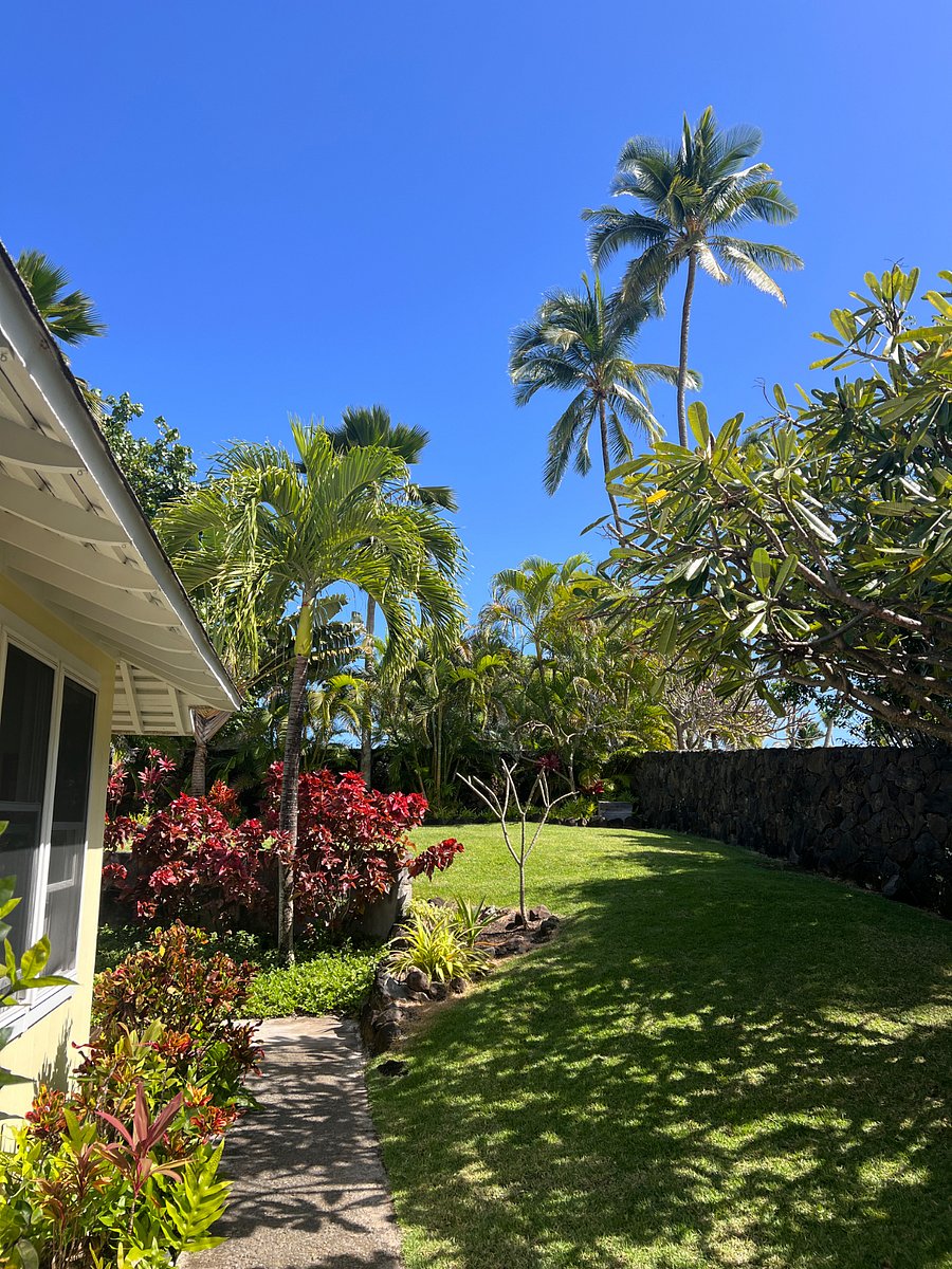 Furnished Finder property 447318_1 photo 27