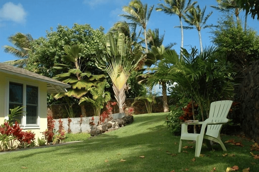 Furnished Finder property 447318_1 photo 21