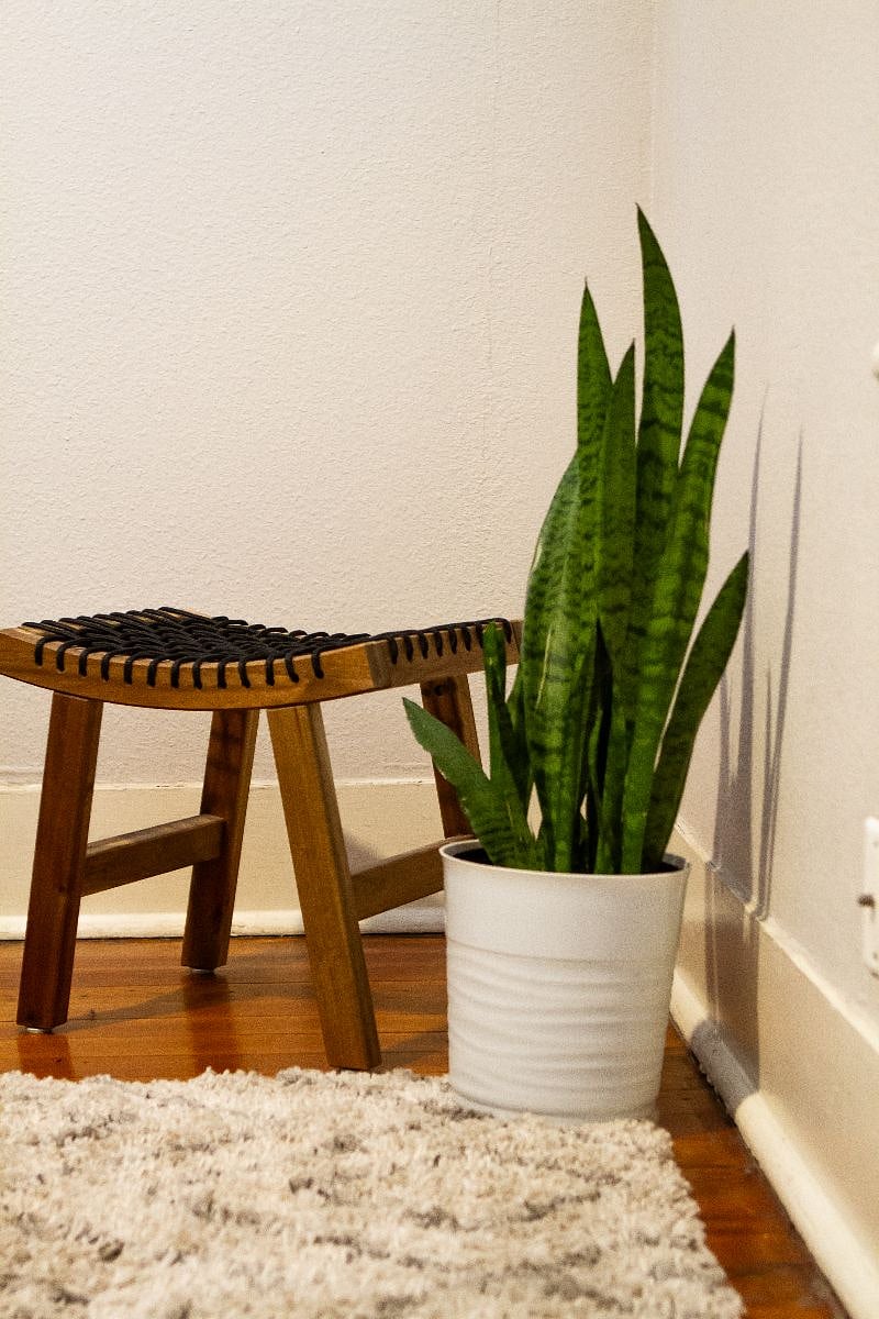 Furnished Finder property 447498_1 photo 19