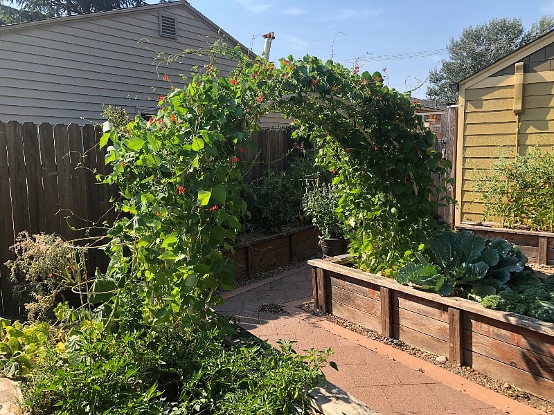 Garden - help yourself!