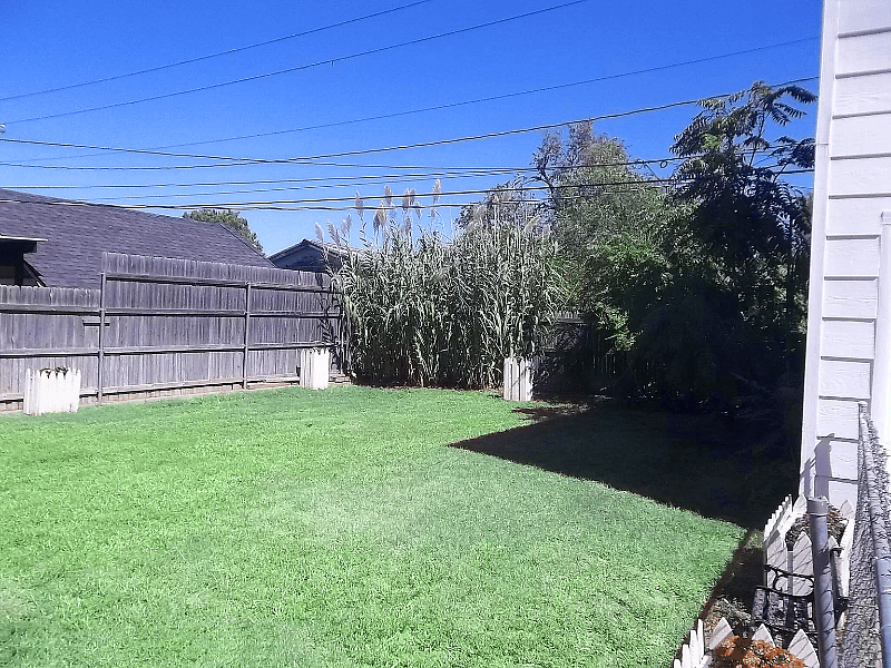 Furnished Finder property 447606_2 photo 24