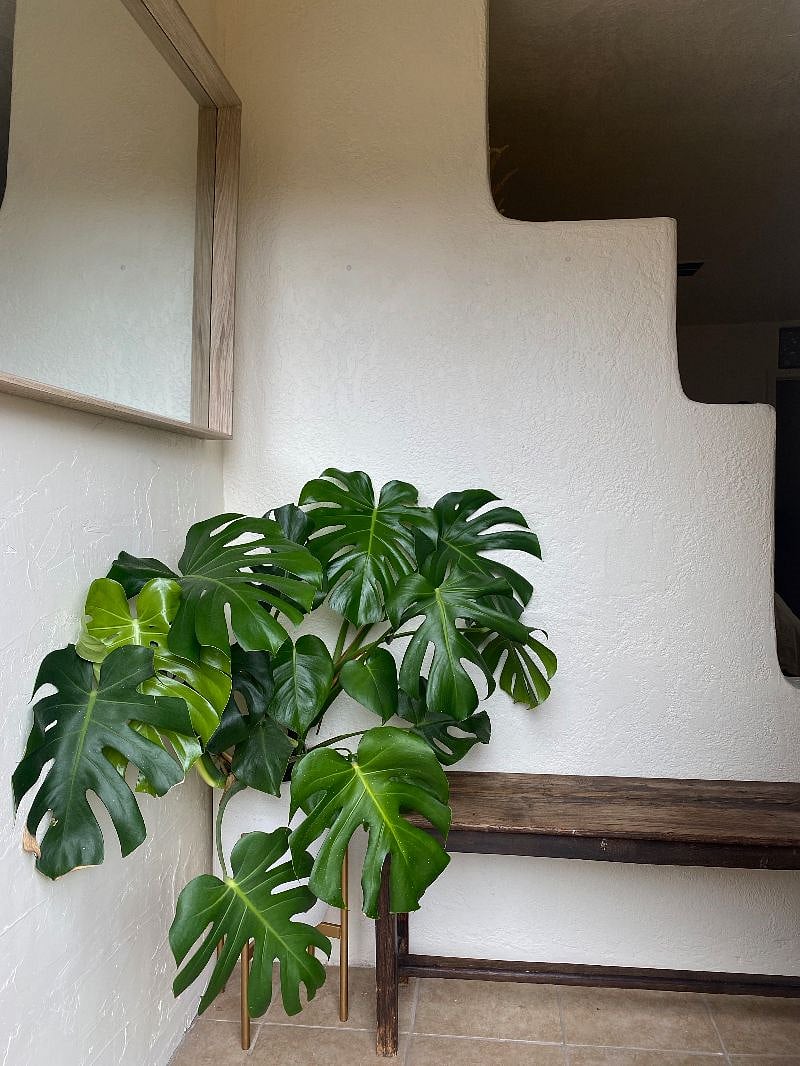 Furnished Finder property 447687_1 photo 15