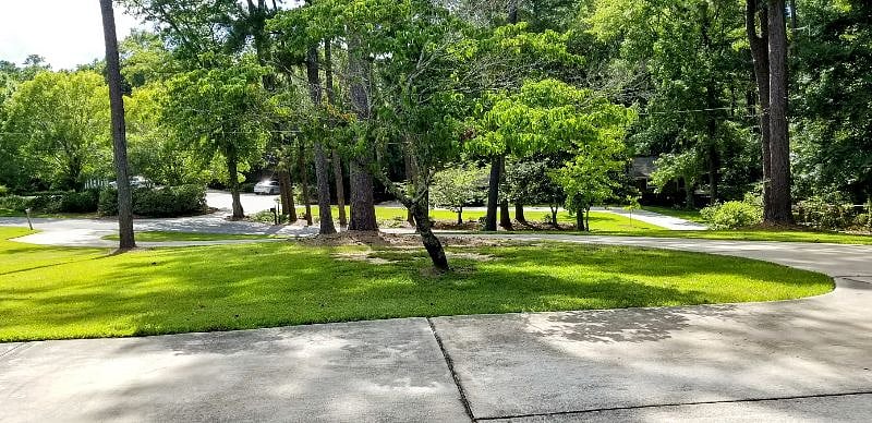 Furnished Finder property 447750_1 photo 40