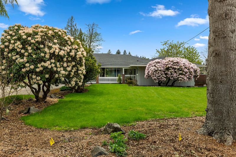 Front Yard