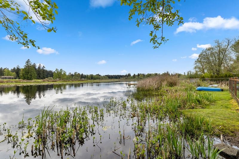 Backyard / Chambers Lake