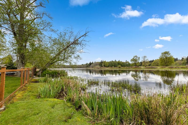 Backyard / Chambers Lake