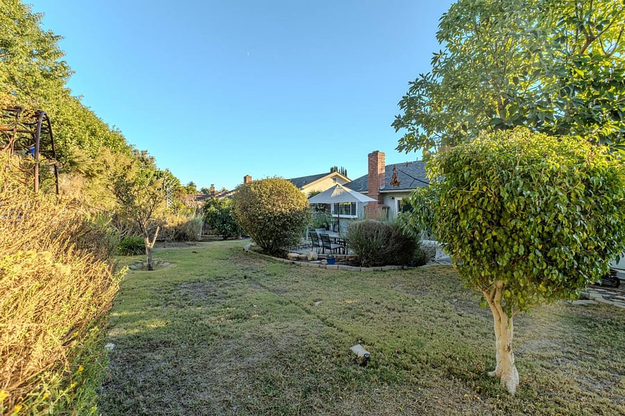 Enjoy this gorgeous green backyard when home.