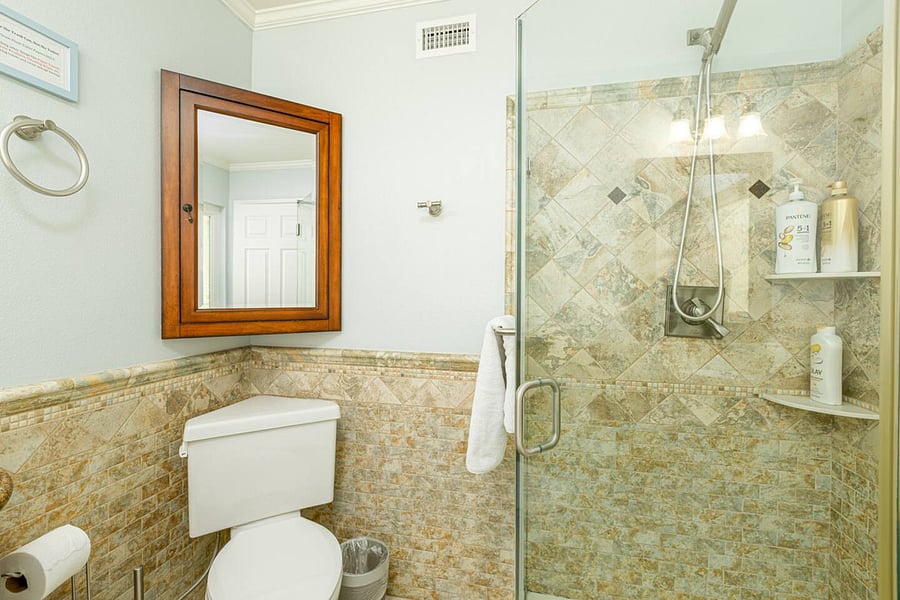 walk-in shower in master bathroom