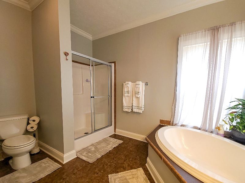 Furnished Finder property 448160_1 photo 19