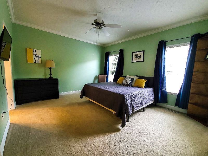 Furnished Finder property 448160_1 photo 14