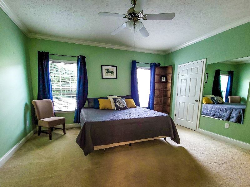 Furnished Finder property 448160_1 photo 16