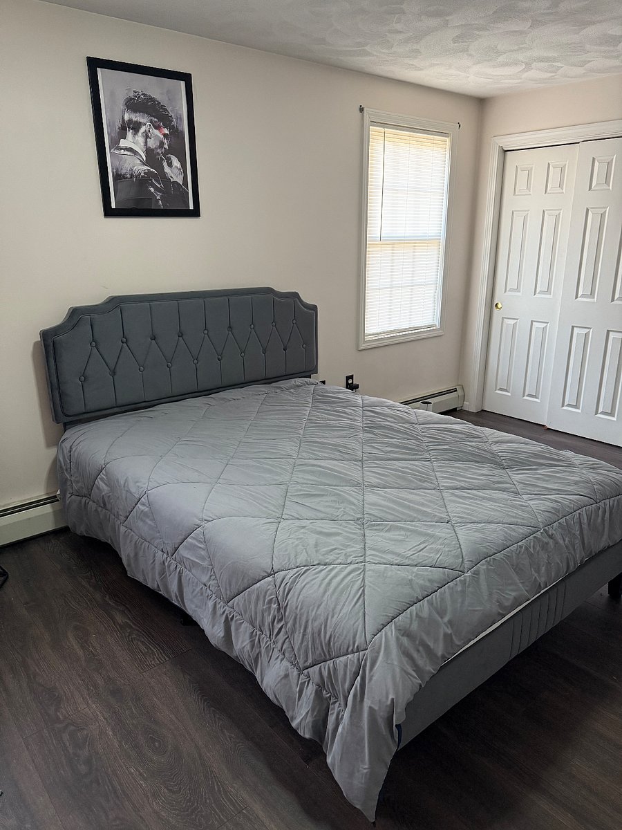 Furnished Finder property 448309_1 photo 23