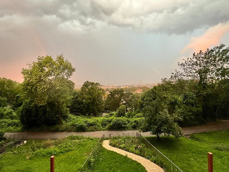 Enjoy the view and a roomy backyard deck (new as of 2023)