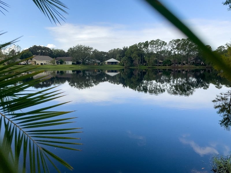 Furnished Finder property 448592_1 photo 7