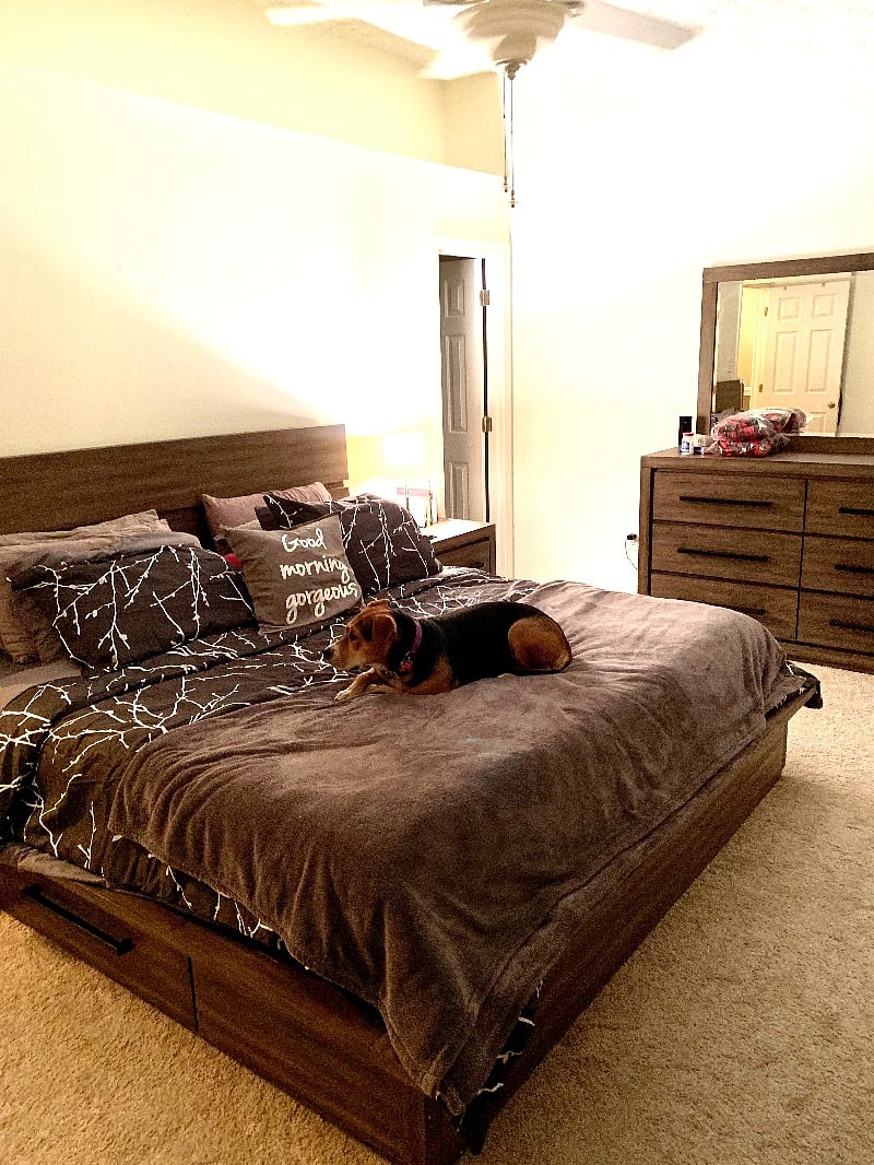 Furnished Finder property 448851_1 photo 17