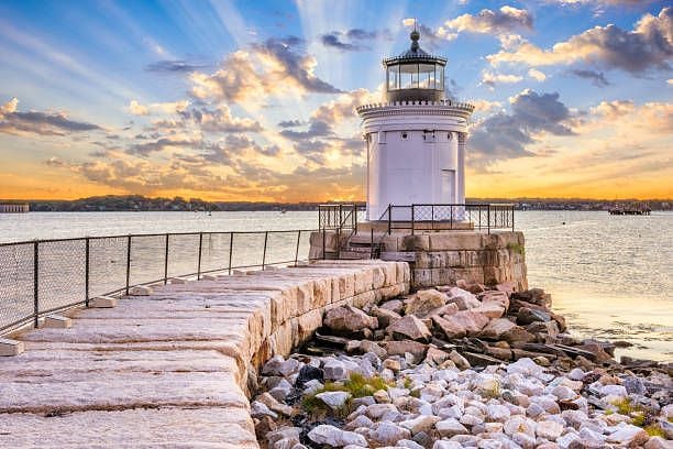 Bug Light