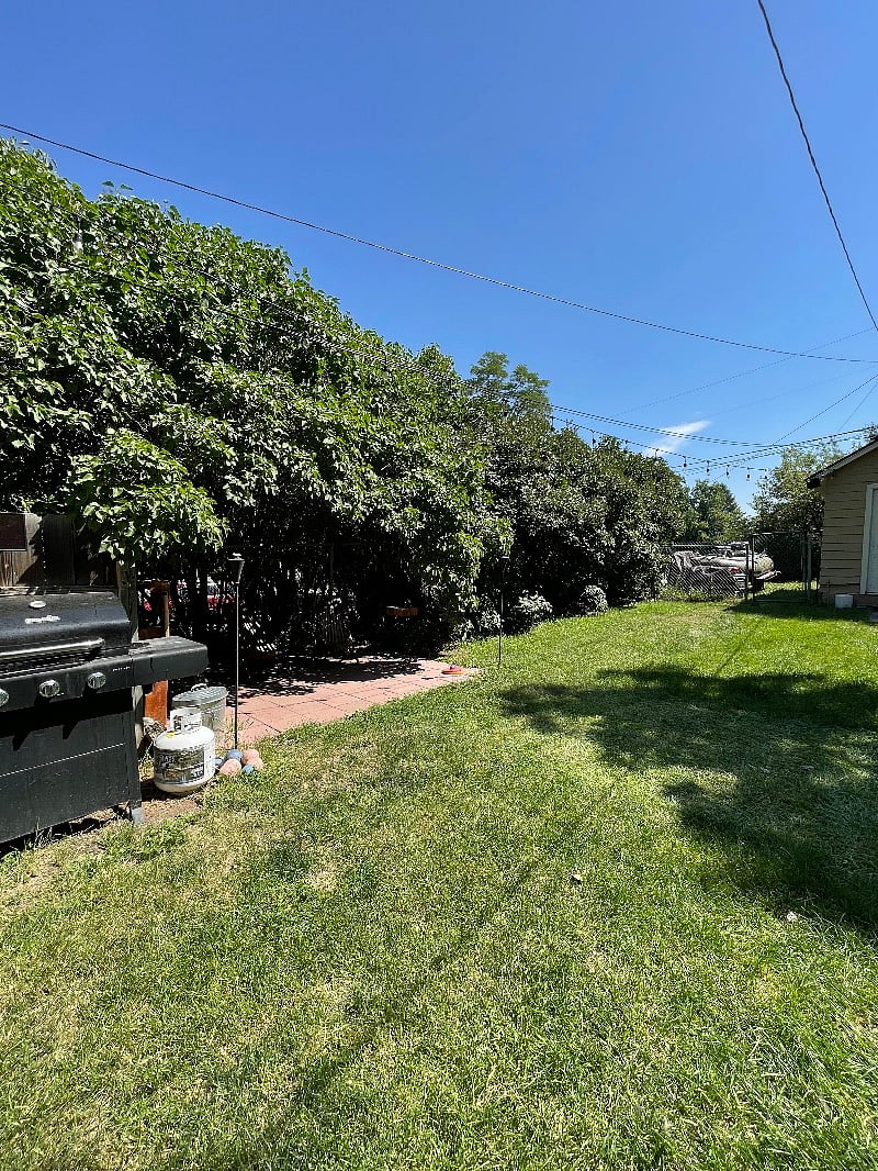 Furnished Finder property 448900_1 photo 14