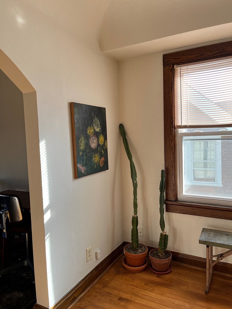 Furnished Finder property 449018_1 photo 8