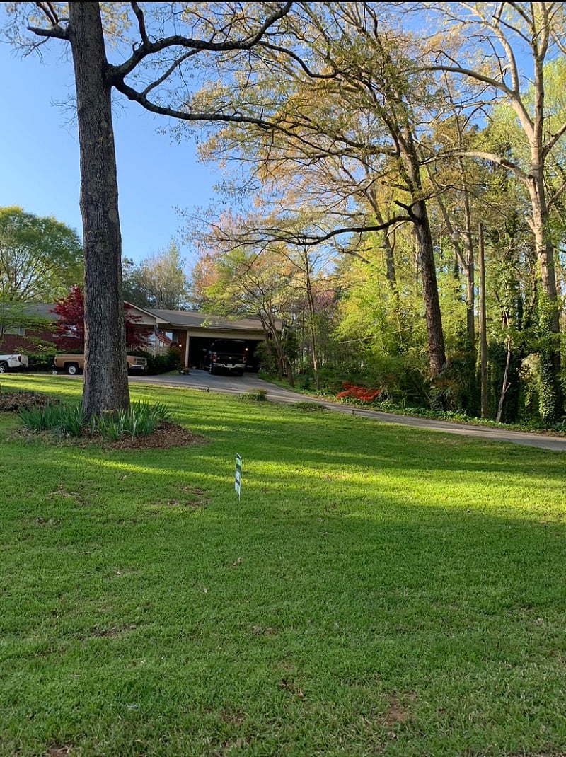 Furnished Finder property 449035_1 photo 23