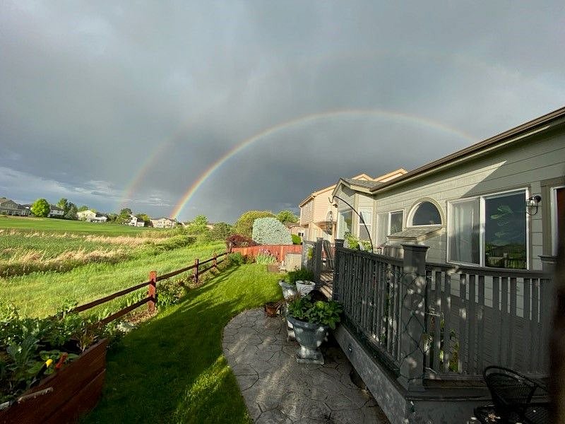 Backyard View
