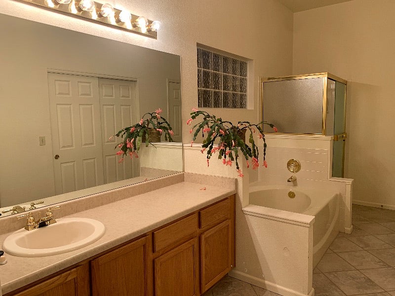 Master Bathroom Vanity