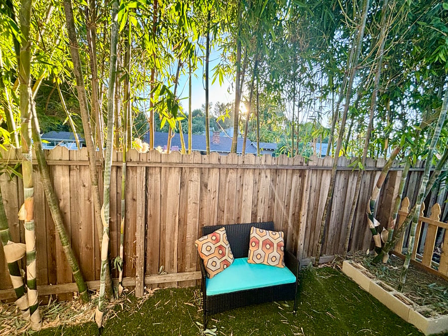 Furnished Finder property 449080_1 photo 11