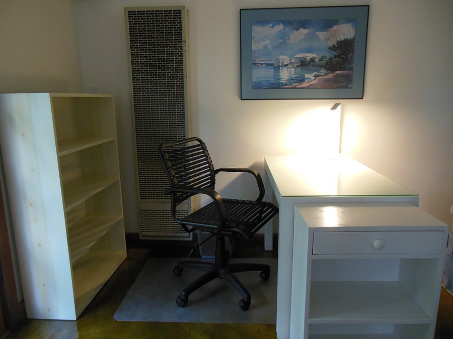 Study area