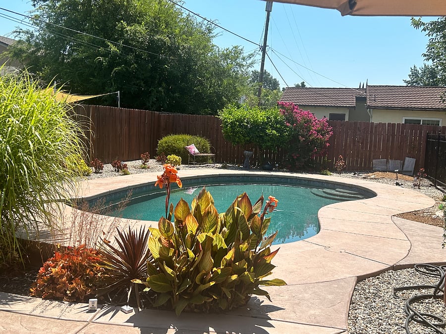 Furnished Finder property 449222_1 photo 5