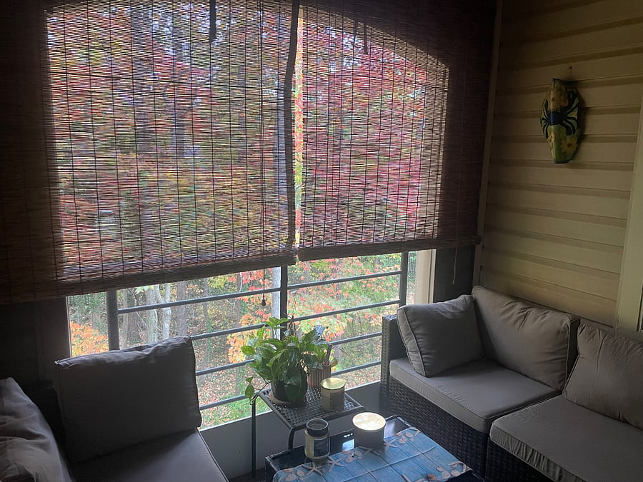 Furnished Finder property 449285_1 photo 21