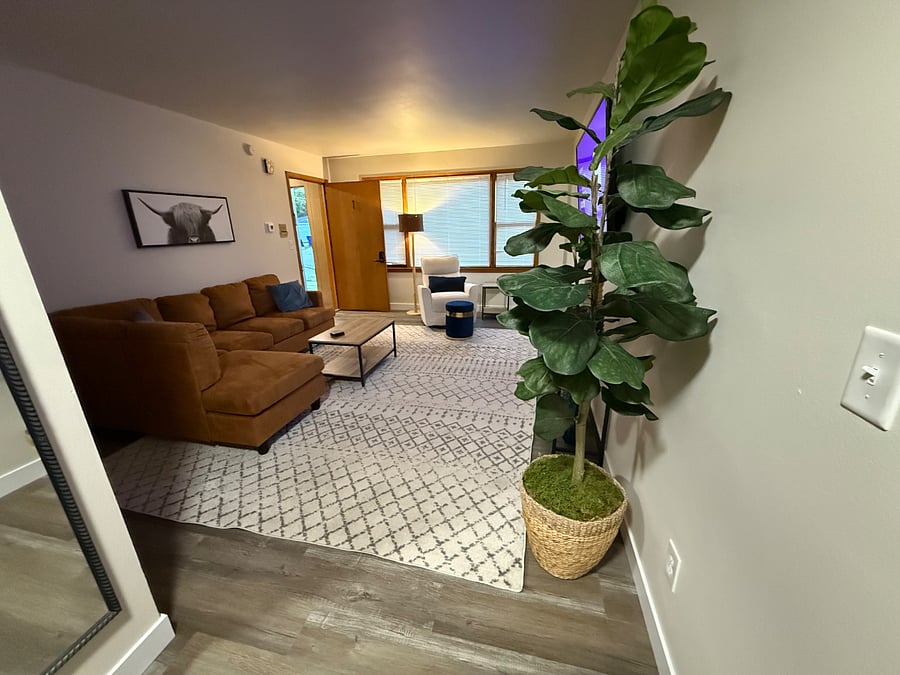 Furnished Finder property 449319_1 photo 17