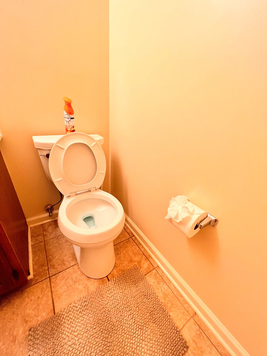 Furnished Finder property 449348_1 photo 12