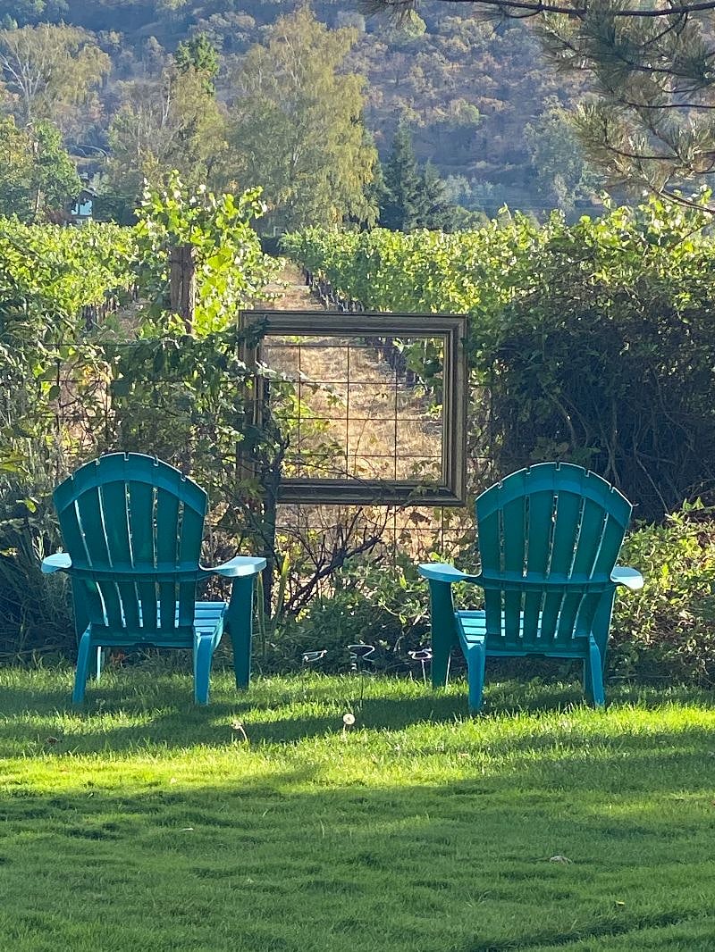 sitting and watching the wine grapes grow is a perfect pastime.