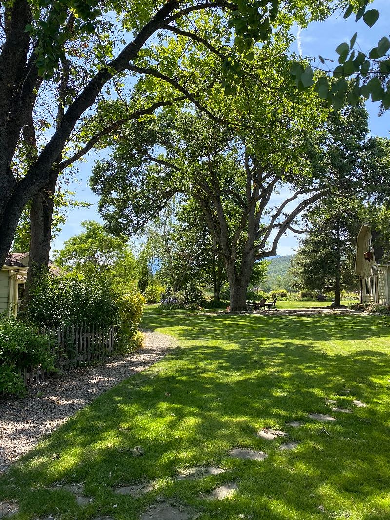 Our great old white oak (she's more than 200 years old!) anchors Le Jardin Familial and greets us as we enter. Le Grenier is in the photo on the right.