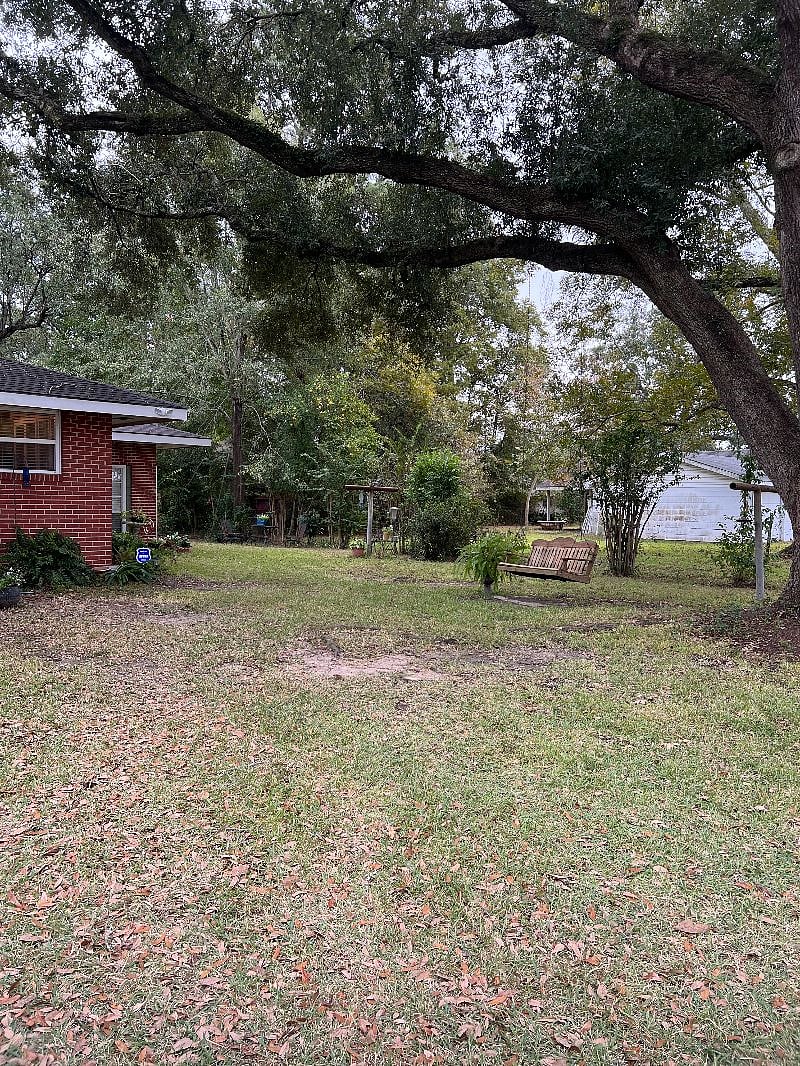 Side Yard under the shade of the huge oak tree