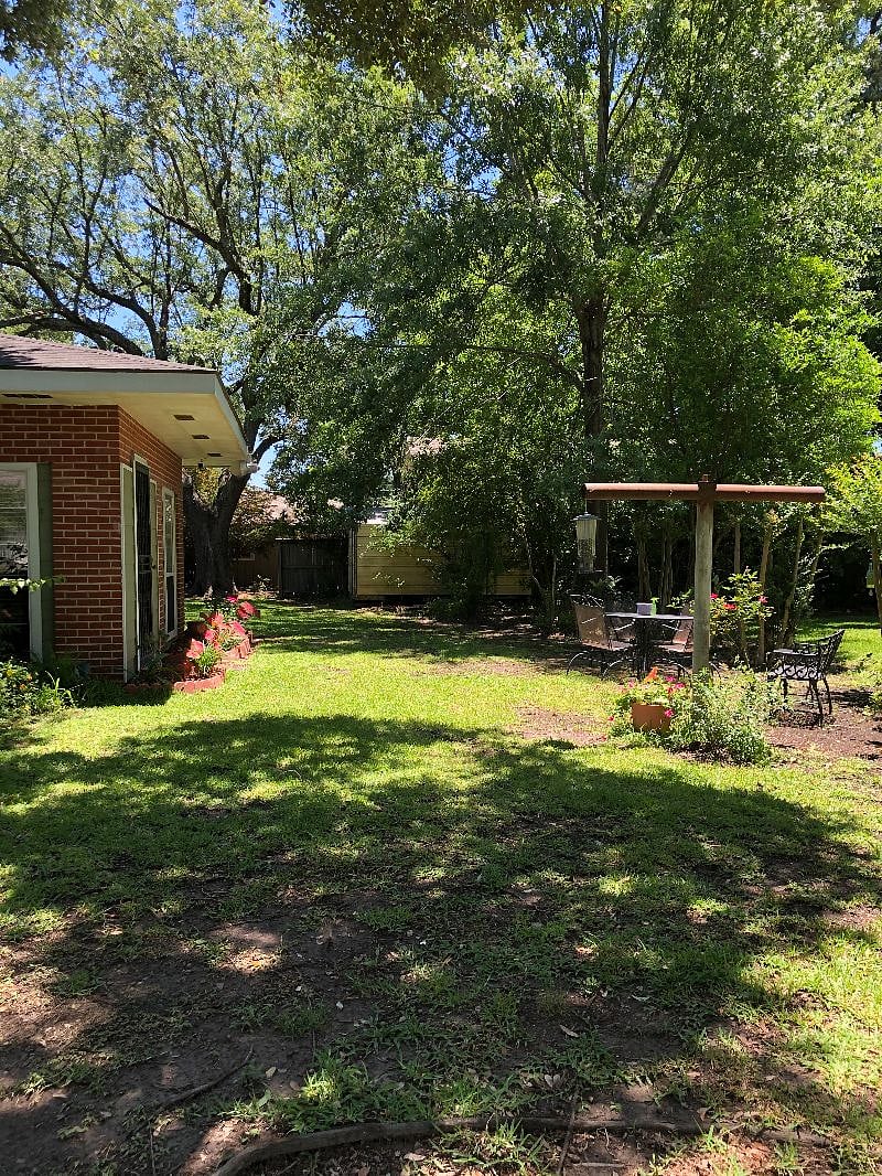 View of backyard