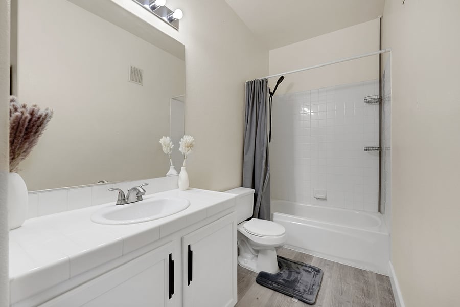 Furnished Finder property 449564_1 photo 13