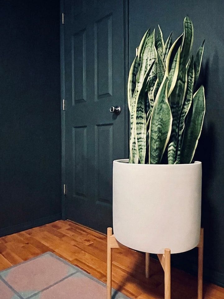 Corner of the bedroom