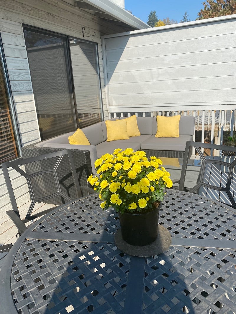 Furnished Finder property 449806_1 photo 14