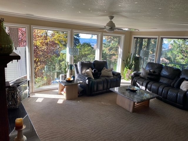 Furnished Finder property 449816_1 photo 5
