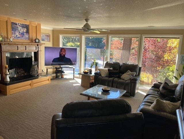 Furnished Finder property 449816_1 photo 7