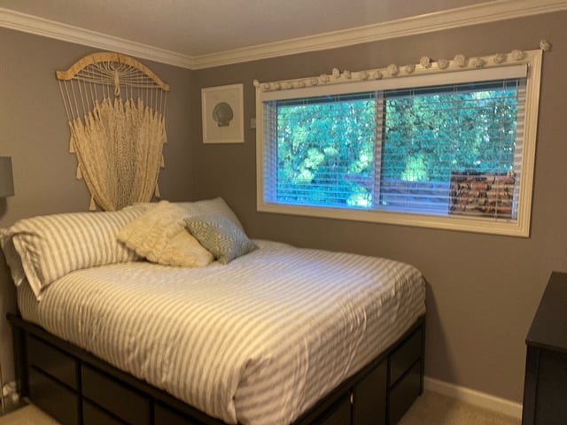 Furnished Finder property 449816_1 photo 13