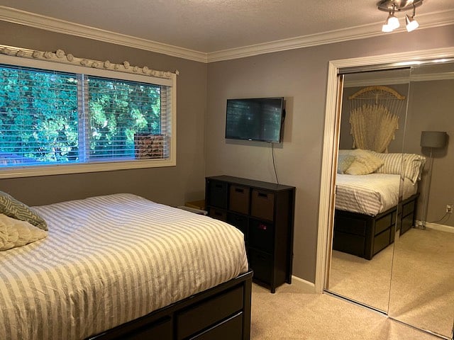 Furnished Finder property 449816_1 photo 15